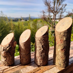 May include: Four natural wood slices, each with a different size and shape, are arranged in a row on a wooden surface. The wood is a light brown color and has a rough texture. The slices are all cut from the same type of tree and have a similar grain pattern.