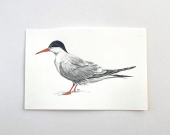 Coastal Shore Bird Watercolor Painting Original 6x9 - Common Tern
