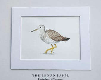 Coastal Shore Bird Watercolor Painting Original 8x10 - Greater Yellowlegs