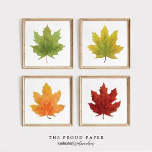 May include: Four square framed wall art prints featuring watercolor maple leaves in seasonal colors. The top left is green, top right is yellow-green, bottom left is orange-yellow, and bottom right is deep red. Text reads THE PROUD PAPER Handcrafted Watercolors.