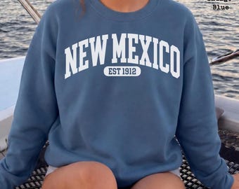 Vintage New Mexico Sweatshirt, Comfort Colors Protest Shirt, New Mexico Tee, Anti Trump Sweatshirt