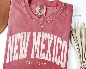 Vintage New Mexico T-shirt, Comfort Colors Protest Shirt, New Mexico Tee, Anti Trump Shirt