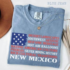 Nieuw-Mexico shirt, Comfort Colors® anti-Trump pro-democratie shirt, stil activisme shirt, subtiel anti-Trump shirt