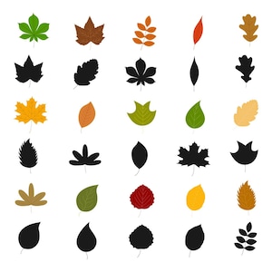 LEAVES Svg Bundle, Leaf SVG, Leaf Templates, Leaves SVG Bundle, Cricut Silhouette svg