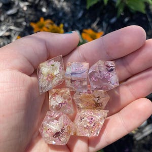 Dried Sakura Blossom Dice Set