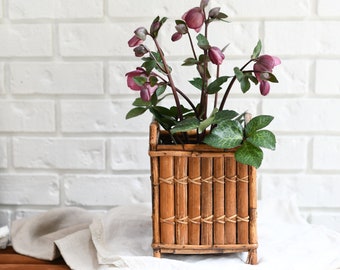 Natural Bamboo Cane Plant Stand | Vintage Bamboo Planter