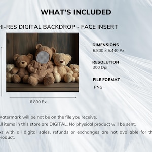 K&ouml;nnte beinhalten: Digitaler Hintergrund mit Teddyb&auml;ren und einem Gesichtseinsatz. Das Bild enth&auml;lt den Text "WHAT'S INCLUDED" und Details zu den Abmessungen, der Aufl&ouml;sung und dem Dateiformat. Die Abmessungen betragen 6.800 x 5.440 Px.