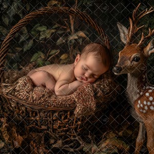 Woodland Newborn Backdrop, Baby Deer Forest Basket, Digital Photoshop Composite, Photo Prop, Outdoors Creative, Fantasy Photo Download,