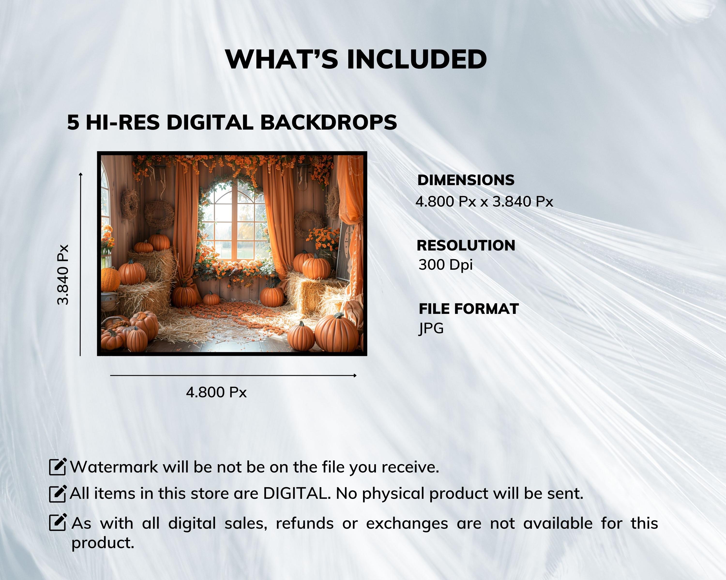 5 Autumn Digital Backdrop Bundle, Fall Digital Background for ...