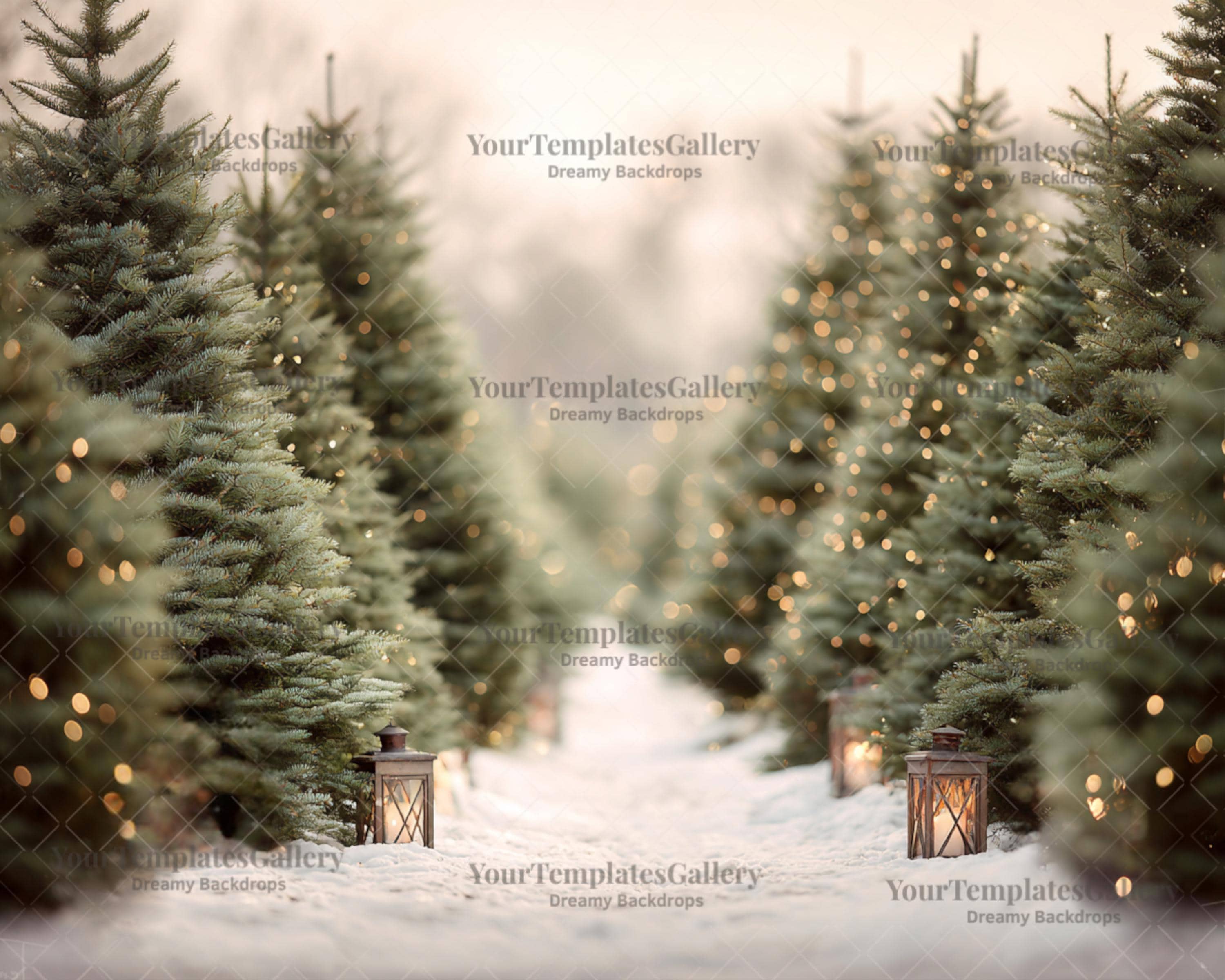 Christmas Tree Farm Digital Backdrop: Holiday Photoshoot Template
