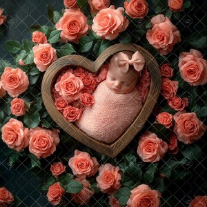 Newborn Digital Backdrop, Valentine Heart Bowl, Baby Girl Photo Studio, Photography Composite, Valentines Day Prop, Backdrop Studio,