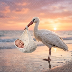 May include: A white stork stands on a sandy shore, holding a cream-colored, intricately knitted fabric sling in its beak. Inside the sling, a newborn infant with closed eyes is wrapped in a soft, matching cream-colored blanket.