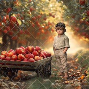 Fall Digital Backdrop Photography, Apple Orchard Digital Background, Apple Tree Farm Path, Outdoor Portrait Composite, Autumn Digital