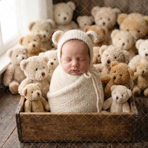 Newborn Teddy Bear Digital Backdrop, Knitted Prop, Face Insert (PNG)