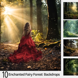 10 décors numériques de forêt enchantée, bel été vert, photographie de fond magique, portrait en plein air, forêt de toile de fond Photoshop,