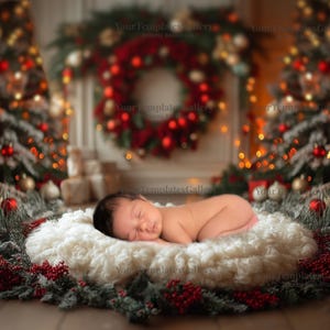 Newborn Christmas Digital Backdrop, Christmas Tree, Newborn Photography,  Photoshop Overlays, Digital Download Background,Holiday Photo Prop