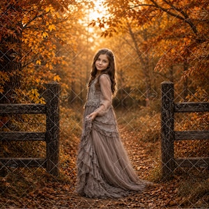 May include: A long-sleeved, floor-length dress in a muted taupe color, featuring a fitted bodice with intricate lace detailing, a tiered skirt with ruffled layers, and sheer sleeves, worn by a young person standing between two wooden fence posts.