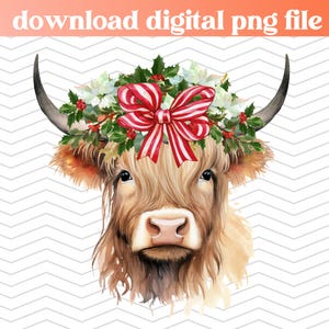 Christmas diadem png