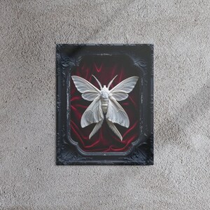 White Moth Metal Print - Dark Academia Specimen, Gothcore Art, Victorian Shadowbox Style, Home Wall Decor Gift