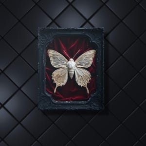 Beige Butterfly Metal Print - Dark Academia Specimen, Gothcore Art, Victorian Shadowbox Style, Home Wall Decor Gift