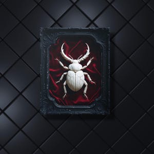 White Scarab Beetle Metal Print - Dark Academia Specimen, Gothcore Art, Victorian Shadowbox Style, Home Wall Decor Gift