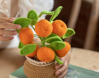 Beginner Crochet Kit Learn To Crochet Kit How To Crochet Gift Kit Crochet Kit for Beginners Crochet Kit Adults Clementine Potted Plant 34