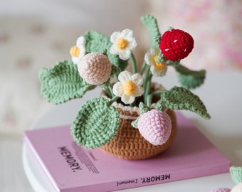 Beginner Crochet Kit Learn To Crochet Kit How To Crochet Gift Kit Crochet Kit for Beginners Crochet Kit Adults Strawberry Potted Plant 33