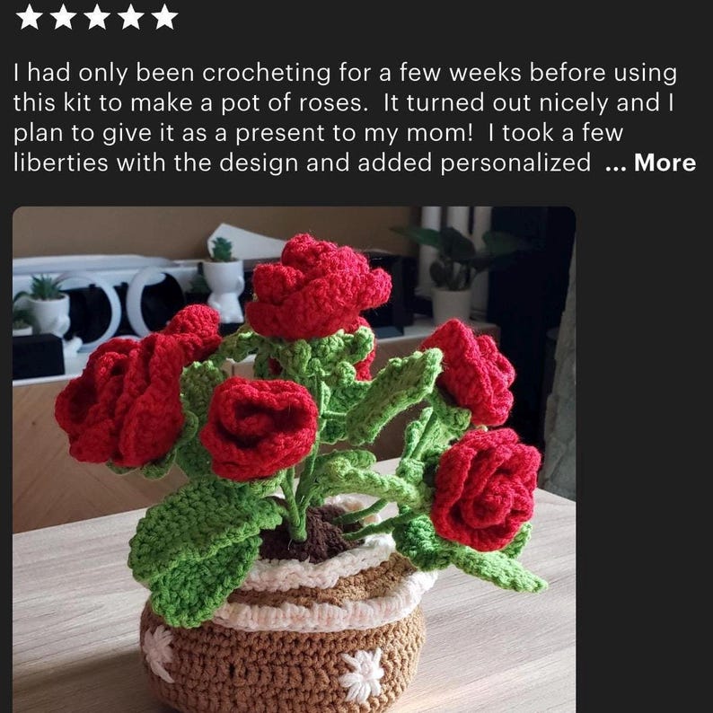 May include: A crocheted pot of red roses with green leaves and stems. The roses are in a brown and white pot with a decorative design. The text in the image says, "I had only been crocheting for a few weeks before using this kit to make a pot of roses."