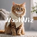 WoolWiz