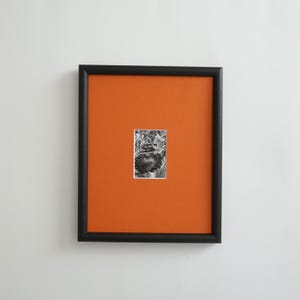 May include: A framed black and white botanical print. The artwork features a detailed illustration of a flower, set against a vibrant orange background. The frame is a simple, square design.