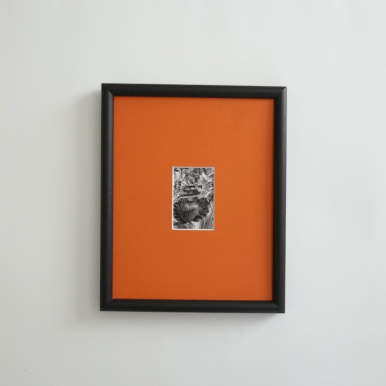 May include: A framed black and white botanical print. The artwork features a detailed illustration of a flower, set against a vibrant orange background. The frame is a simple, square design.