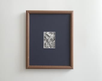 May include: A small rectangular black and white ink drawing of dense foliage and plants, centered within a dark navy blue matting and enclosed in a medium-toned brown wooden frame with a simple, clean-lined profile and a smooth finish.