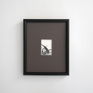 May include: A framed black and white botanical print. The artwork features a detailed illustration of plant life, set against a dark brown background within a black frame. The frame is rectangular and mounted on a white wall.