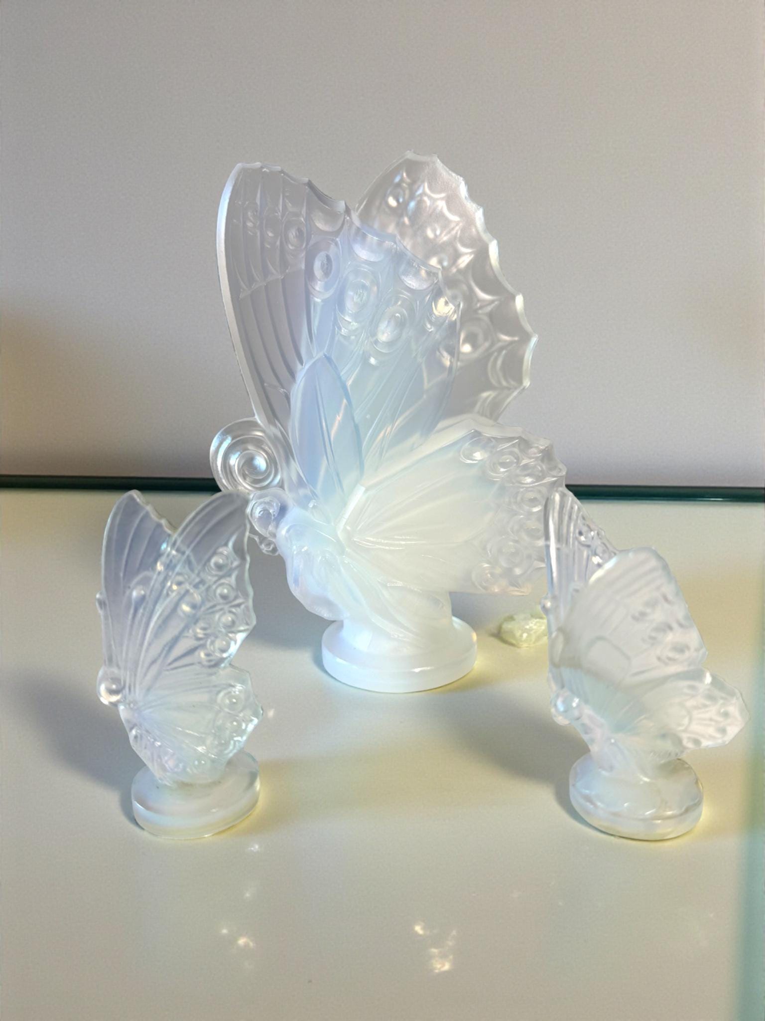 Sabino Butterfly - Etsy