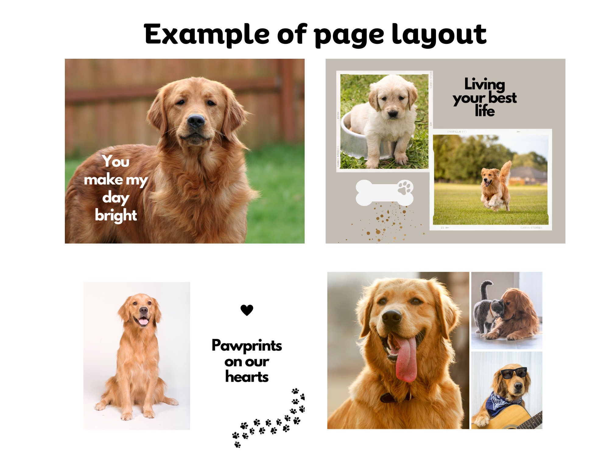 Dog Memorial Photobook Template Canva Photobook Template for Etsy