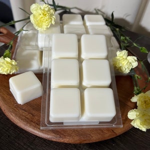 Speakeasy -Wax Melts