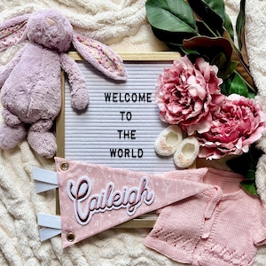 Girls Pink Floral Custom Name Pennant - Embroidered Name Pennant Flag - Personalized Embroidered Wall Hanging -  Bedroom Name Wall Sign