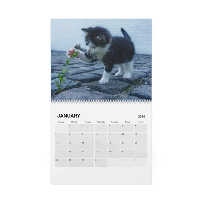 Purr fectly Adorable 2024 Kitten Calendar A Year Of Cuteness And Whisker Wonderland Etsy purr-fectly-adorable-2024-kitten-calendar-a-year-of-cuteness-and-whisker-wonderland-etsy
