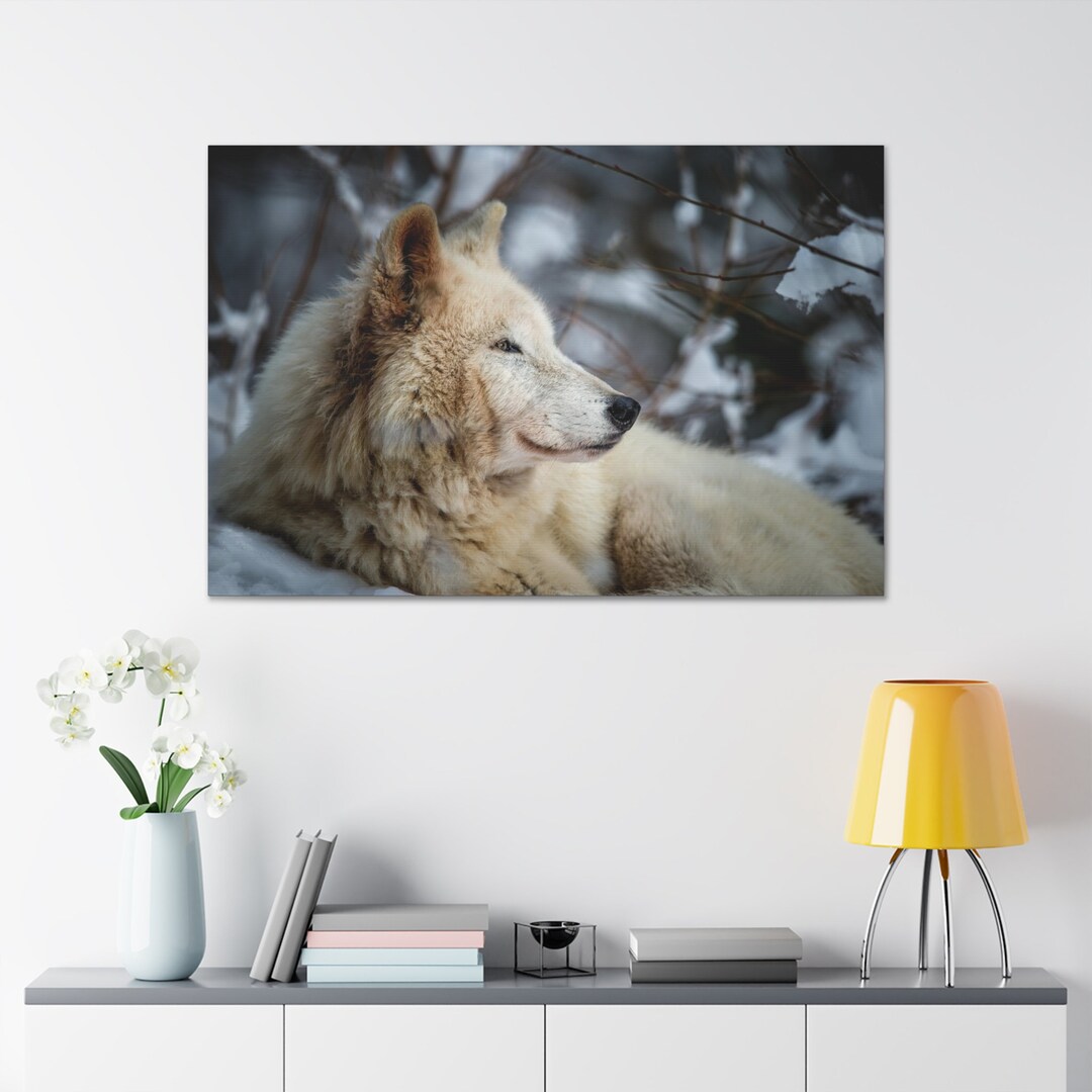 White Wolf Wall Art on Canvas Etsy