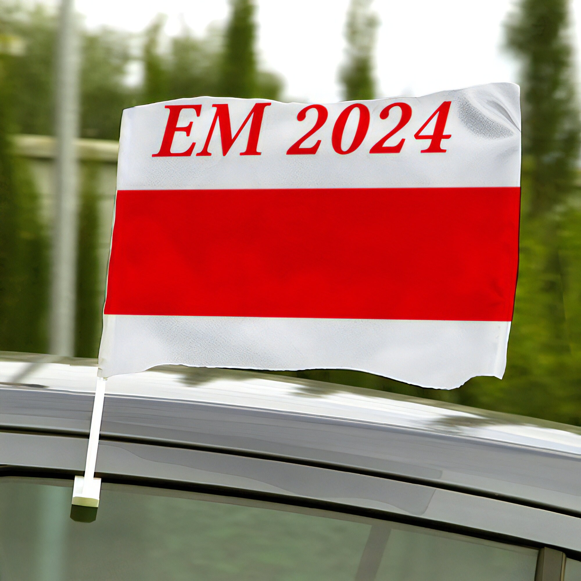 AutoFahnen & AutoFlaggen utschland