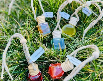 Deodorante per auto al profumo di frutta: diffusore di aromi sospeso