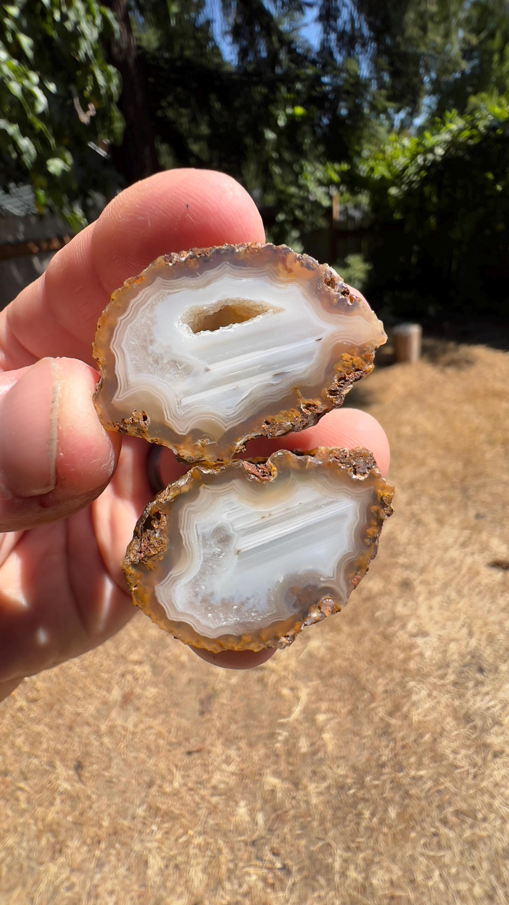 Calandria agate - Etsy 日本