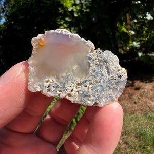 1,7 oz Oregon-mosagaat gepolijst, lapidair, cadeau, display-exemplaar, verzamelaar, woondecoratie