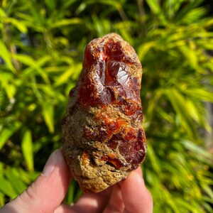 Large 9.1oz gemmy carnelian with botryoidal formations and common opal