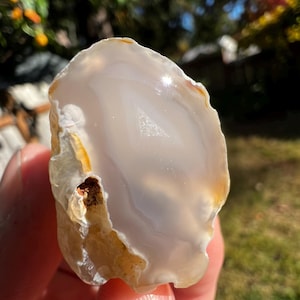 1,6 oz Oregon-agaat gepolijst, cadeau, lapidary, woondecoratie, verzamelaar, display-exemplaar