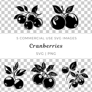 May include: Black and white SVG and PNG images of cranberries. The image includes multiple illustrations of cranberry clusters with leaves. Text on the image reads "5 Commercial Use SVG Images" and "Cranberries SVG | PNG".