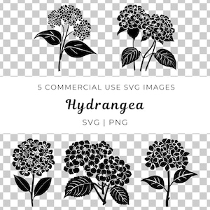 Hortensie SVG, Hortensie Blume, Blumenstrauß, Gartenpflanze, Hortensie Blüte, Bauerngarten Vektor, Sommerblumen