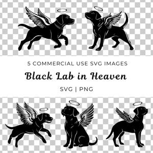Vector de labrador negro con alas de ángel, perro celestial Svg, ángel labrador negro Svg, monumento para mascotas, vector de ángel labrador retriever, perro alado Svg