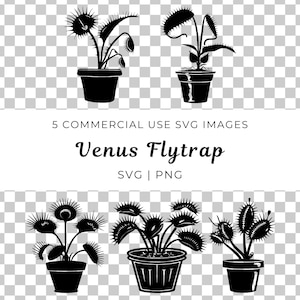 Ensemble Svg d'attrape-mouches Venus | Monstre plante Svg | Piège à mouches de Vénus PNG | Fichier clipart plante carnivore | Illustration pour amoureux des plantes | Svg botanique