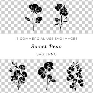 Süße Erbse Blume zwart, lebendige Erbse Vektor, Elegante Süße Erbse Design zwar, Zarte Erbse Blüte Vektor, Weiche Süße Erbse Floral Aufdruck